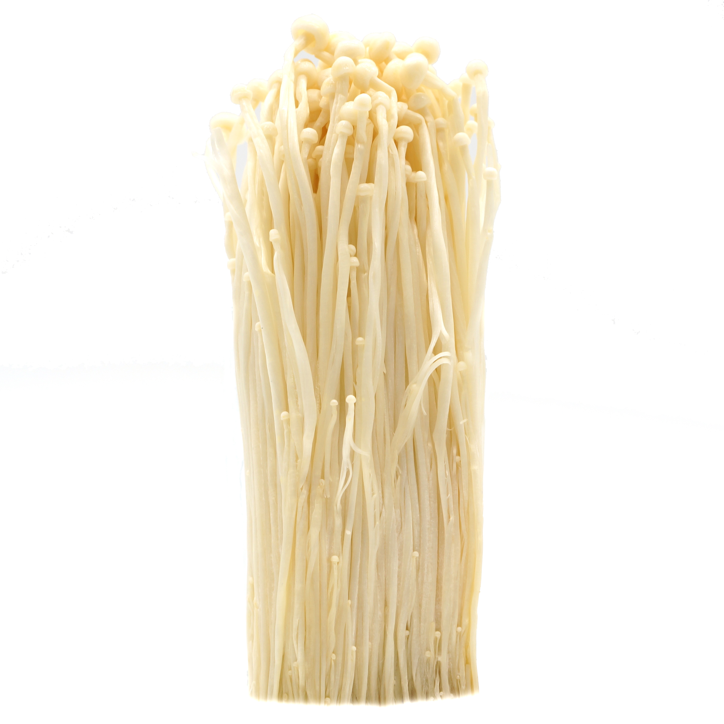 Enoki Pilze - Mao Xiong - 100g